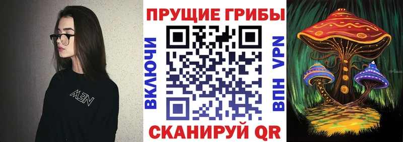 Псилоцибиновые грибы Psilocybe  Лаишево 